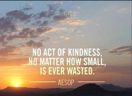 no act of kindness, no matter how small, is ever wasters - aesop