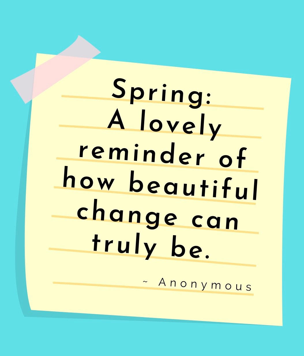 spring - a lovely reminder of how beautiful change can truly be